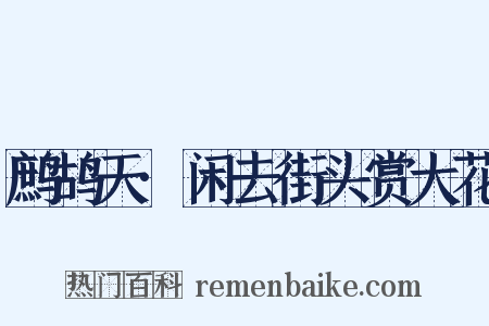 鹧鸪天·闲去街头赏大花是什么意思的图片